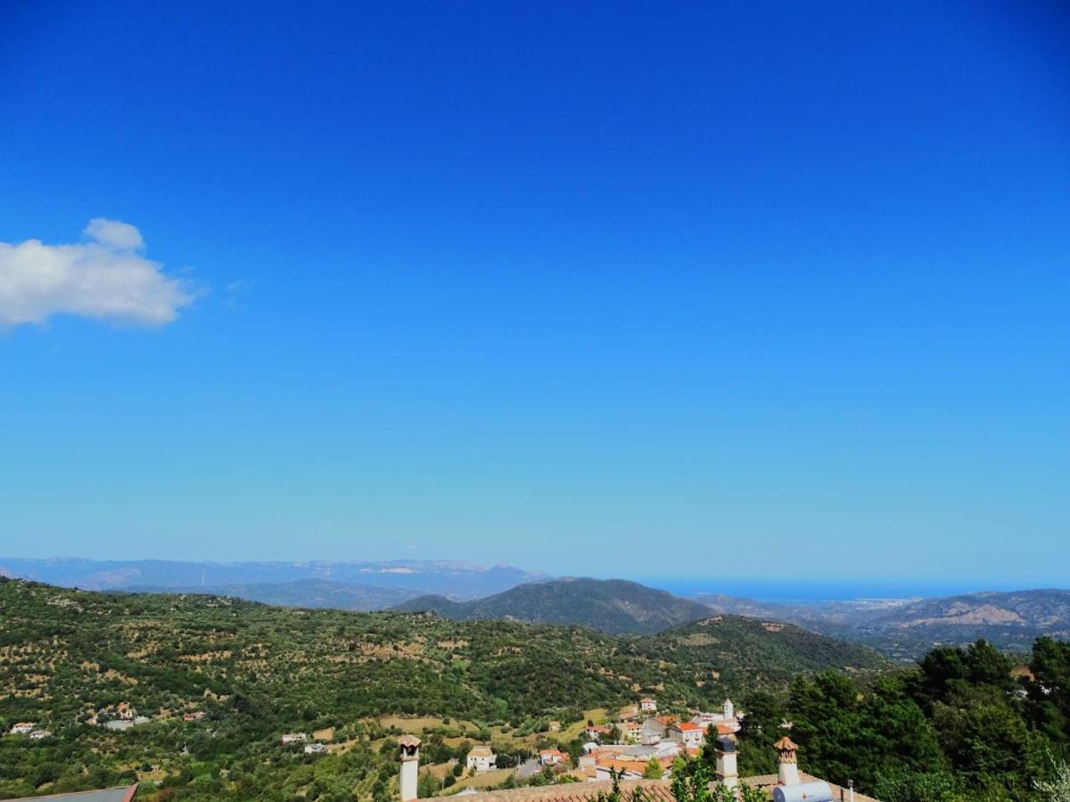 Le Sorgenti Guest House Ilbono Luaran gambar