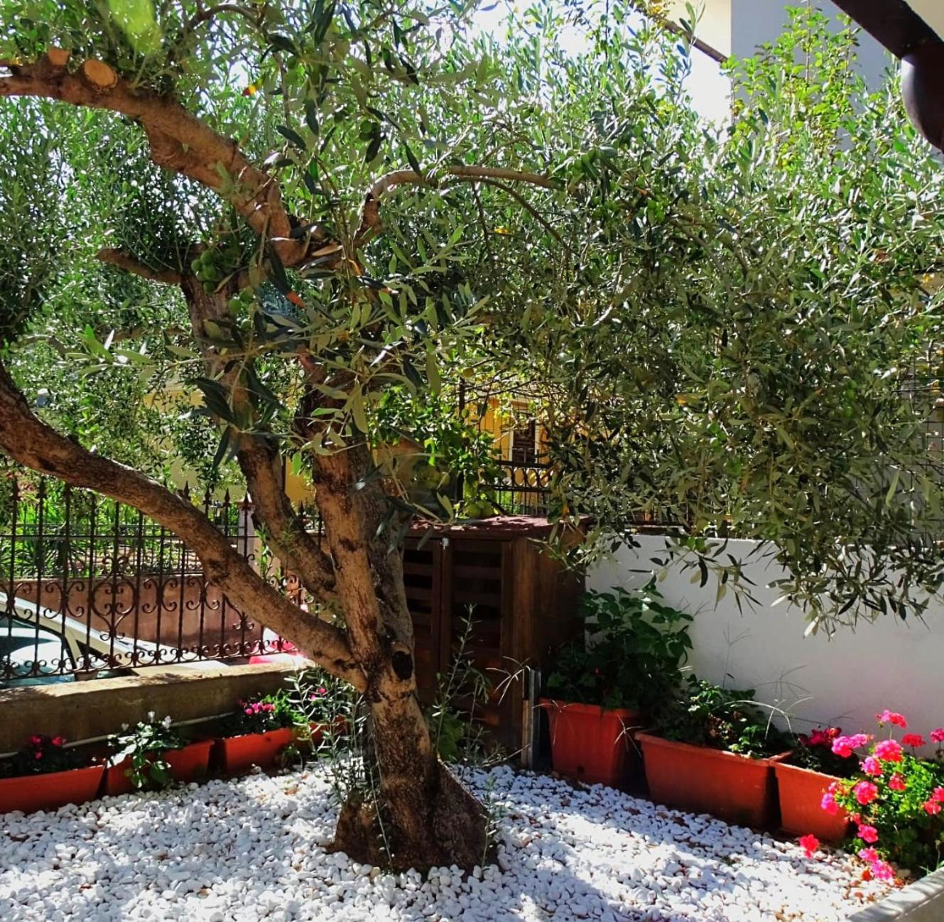 Le Sorgenti Guest House Ilbono Luaran gambar
