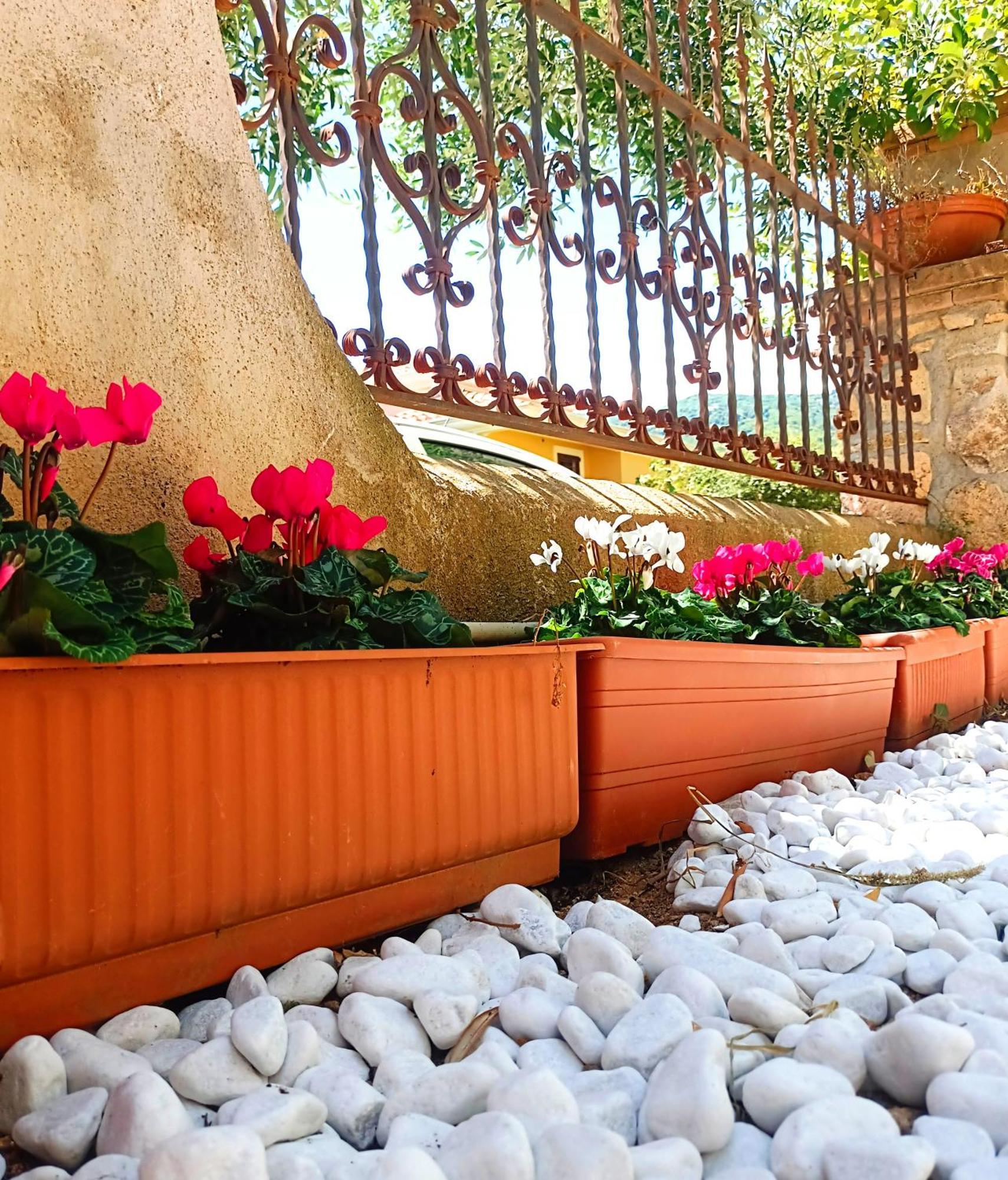 Le Sorgenti Guest House Ilbono Luaran gambar